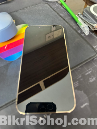iPhone 13 Pro Max Max-256GB (Used)
